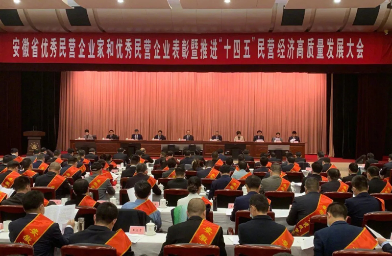 喜訊！元琛科技總經(jīng)理梁燕被授予“安徽省優(yōu)秀民營企業(yè)家”稱號